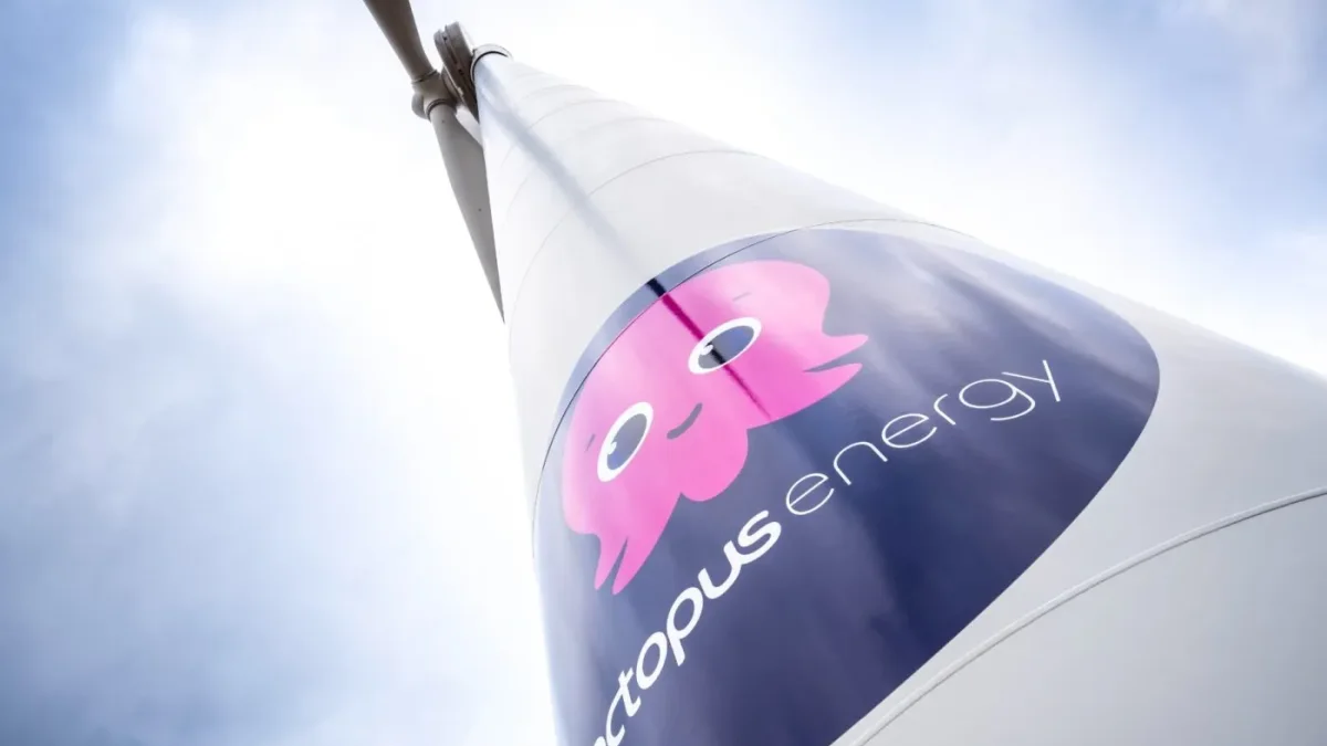 Octopus Energy elektrikli araç filosu ve halka açık şarj hizmetini temsil eden görsel